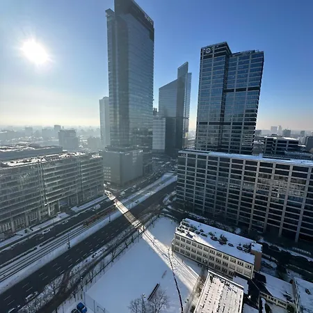 View - High Floor